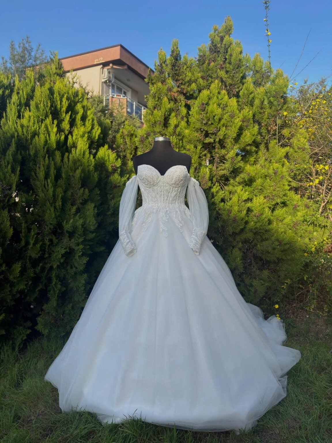 a115682e-51fc-4dc4-9a73-a2687fc2f032