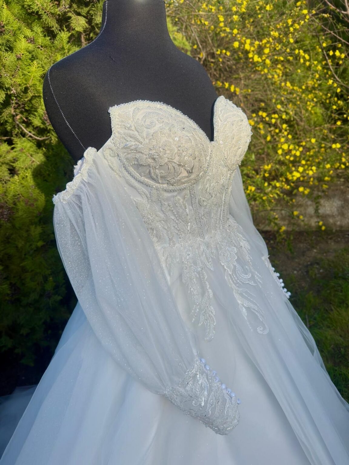 ee26ce7b-e520-4b66-9410-2a9cbedef6fc